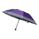 Ver imagem 1 de Sombrinha Guarda Chuva Manual de Bolsa 10 Varetas Feminino