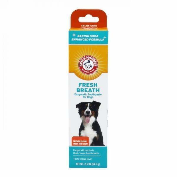 Pasta de Dentes Enzimática Arm & Hammer Sabor Frango para Cães - 1