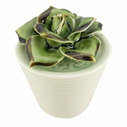 Mini Vaso Decorativo em Cerâmica com Suculenta 10cm - 1