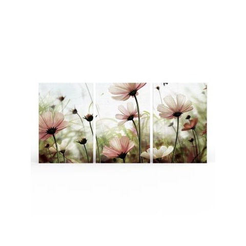 Kit 3 Quadros Retangulares 90x60 - Flores Cosmo