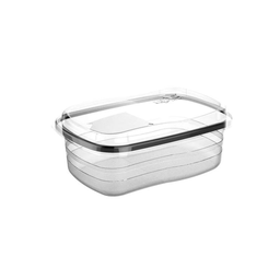 Pote de Plástico Freezer Retangular Transparente 330ml - 1