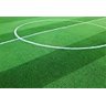Jardim Grama Sintética Luxo 12mm 6m² verde Jardim Decorativo - 5