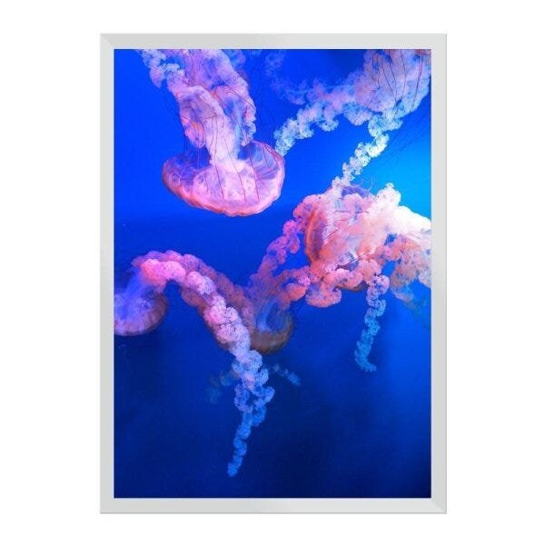 Alive:Branca/42 x 29.7 cm - 1