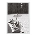 Ver imagem 1 de Surf Girl Ericeira Portugal:Branca/42 x 29.7 cm