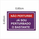 Ver imagem 2 de Capacho Tapete Decorativo Não Perturbe Antiderrapante.