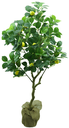 Ver imagem 1 de Arvore Planta Limão Siciliano 12 Frutas 120cm Artificial Realista