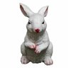 Coelho Resina Sentado / Pe Branco Vida 9X16X2cm - 4