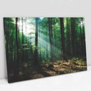 Ver imagem 1 de Quadro Decorativo em Canvas Floresta Verde TaColado Moldura Madeira 60 x 40cm