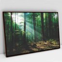 Ver imagem 2 de Quadro Decorativo em Canvas Floresta Verde TaColado Moldura Madeira 60 x 40cm