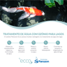 Gerador de Ozônio Panozon Lacus / Ecco 6000 trata até 6000 Litros - 220v - 3