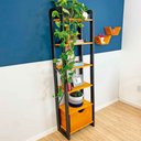 Ver imagem 2 de Estante 6 Prateleiras de Madeira Pinus Linea Slim com Gaveta Carvalho e Preto