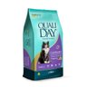 Ração Qualiday Especial Premium Gatos Castrados Carne 10,1Kg - 1