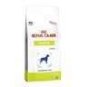 Ração Royal Canin Diabetic Canine - 10,01 Kg - 1