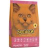 Ração Special Cat Premium Para Gatos Filhotes- 1Kg - 1