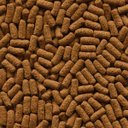 Ver imagem 2 de Ração Para Peixes Carnívoros Alcon - 90G