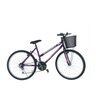 Bicicleta Aro 24 Feminina 18 Marchas Freio V-Brake DEPEDAL DAL-007 VIOLETA - 2
