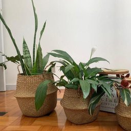 Cesto Vaso Planta Palha Fibra Jardim Enfeite Flor Grande - 5