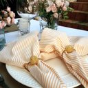 Ver mais imagens de Guardanapo Sweet | Casa Listras Salmão Pack com 02