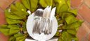 Ver imagem 4 de Guardanapo Sweet | Casa Oliva Pack com 04