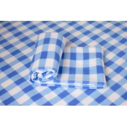 Cobertor Polar Soft Cobertores Parahyba Infantil Xadrez Azul Claro - 2