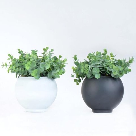 Kit Folhagem de Eucaliptos Vasos Foscos Preto e Branco