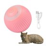 Bola Giratoria Inteligente Gato Pet Bolinha Animal de Estimaçao Brinquedo Usb Petshop Interativa - 2
