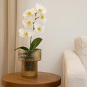 Ver imagem 2 de Vaso em Vidro Texturizado Decorativo Marrom 30x21cm