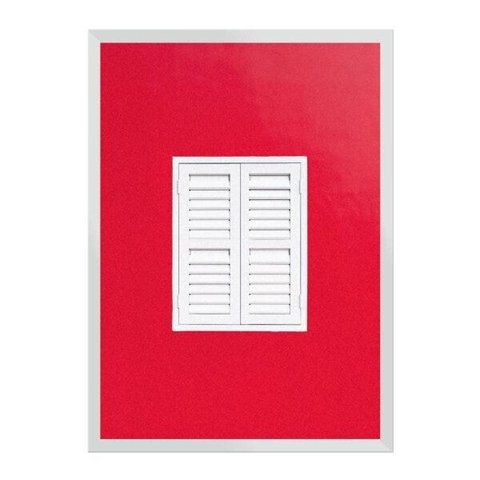 Existe um pássaro vermelho em mim:Branca/42 x 29.7 cm
