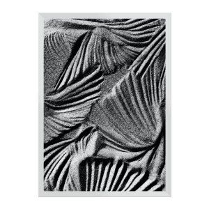 Zebra:Branca/42 x 29.7 cm