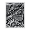 Ver imagem 1 de Zebra:Branca/42 x 29.7 cm