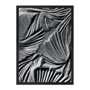 Zebra:Preta/42 x 29.7 cm