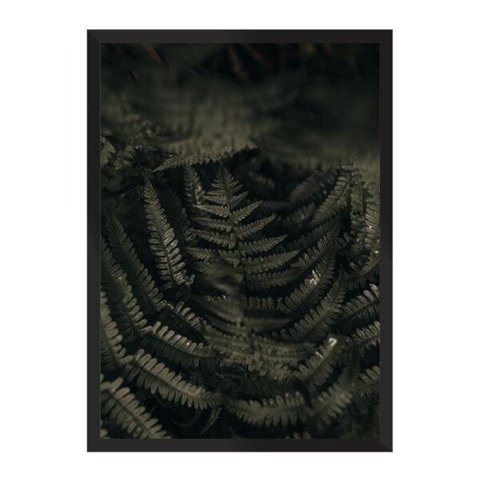 Ferns Leaves:Preta/42 x 29.7 cm