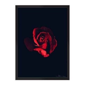 Desabrochar:Preta/42 x 29.7 cm