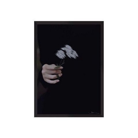 Flores:Preta/42 x 29.7 cm