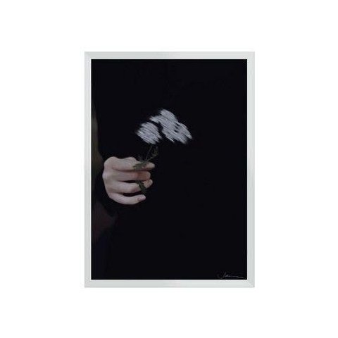 Flores:Branca/42 x 29.7 cm
