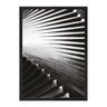 Light and Shadow:Preta/42 x 29.7 cm - 1