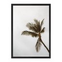 Ver imagem 1 de Blow Green:Preta/42 x 29.7 cm