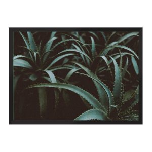 Aloê:Preta/42 x 29.7 cm