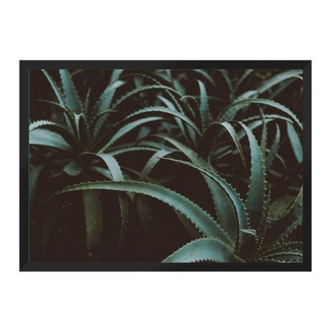 Aloê:Preta/42 x 29.7 cm