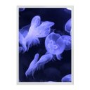 Ver imagem 1 de Burn Purple:Branca/42 x 29.7 cm