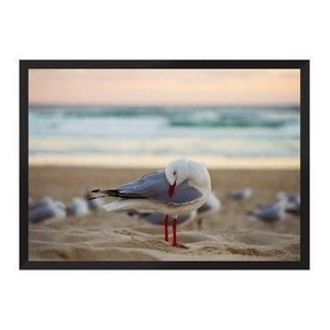Freedom Wings:Preta/42 x 29.7 cm