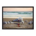 Ver imagem 1 de Freedom Wings:Preta/42 x 29.7 cm