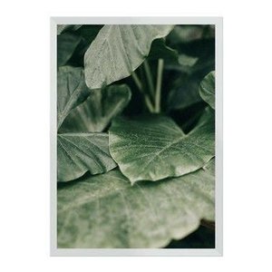 Seeds of Life:Branca/42 x 29.7 cm