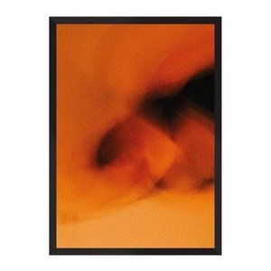 Orange Figures:Preta/42 x 29.7 cm