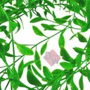 Ver imagem 7 de Trepadeira Artificial Ciriguela Pendente