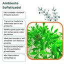 Ver mais imagens de Trepadeira Artificial Ciriguela Pendente