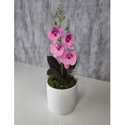 Arranjo De Mini Orquídea Rosa Vaso Branco Redondo - 3