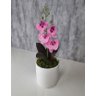 Arranjo De Mini Orquídea Rosa Vaso Branco Redondo - 3