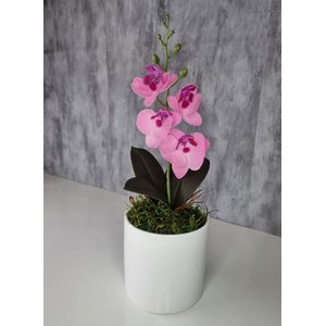 Arranjo De Mini Orquídea Rosa Vaso Branco Redondo