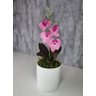 Arranjo De Mini Orquídea Rosa Vaso Branco Redondo - 1